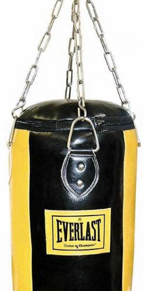 Sac de frappe sur pied EVERLAST OMNIFLEX – Excellent état - Sport & Plein air